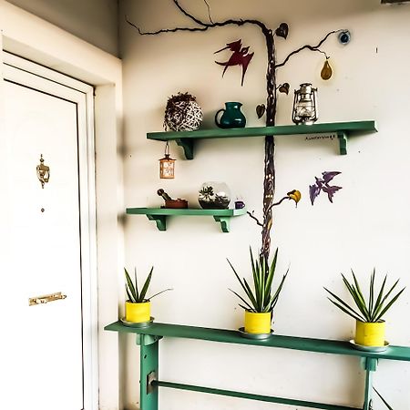 Your Spot West Peloponnese Shared Countryhouse ザハロ エクステリア 写真