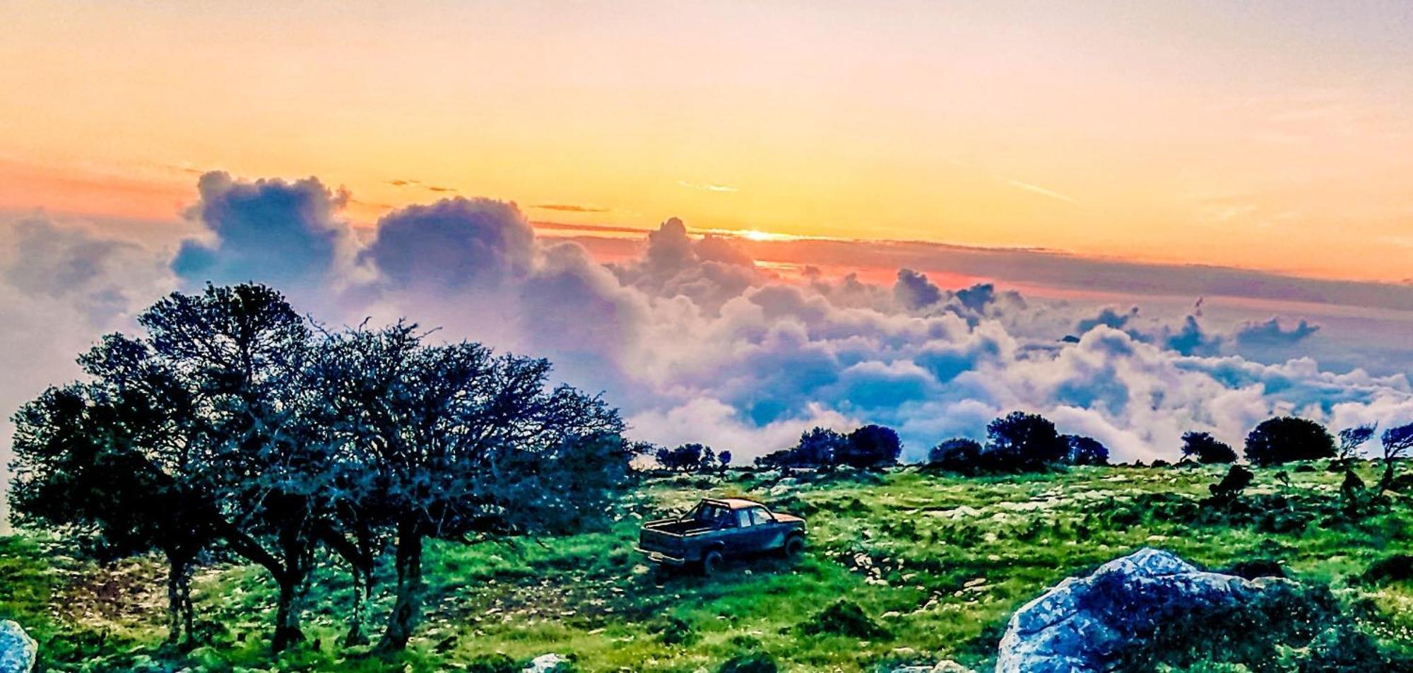 Your Spot West Peloponnese Shared Countryhouse ザハロ エクステリア 写真