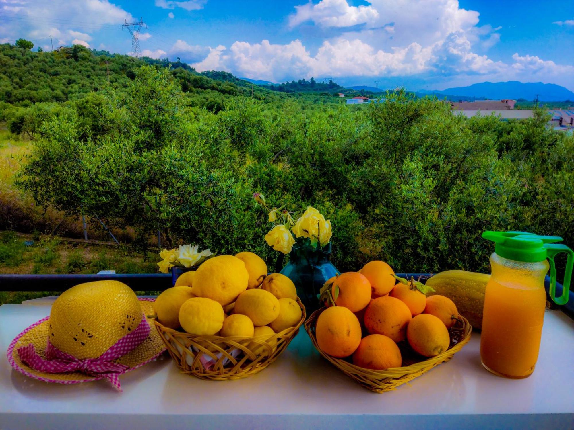 Your Spot West Peloponnese Shared Countryhouse ザハロ エクステリア 写真