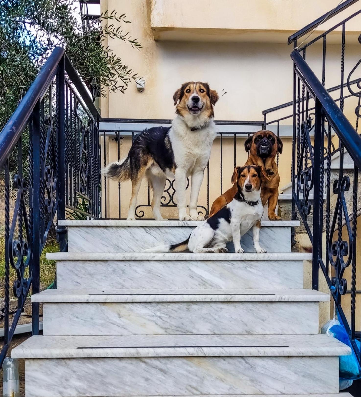 Your Spot West Peloponnese Shared Countryhouse ザハロ エクステリア 写真